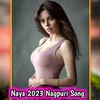 About Naya 2023 Nagpuri Song Song